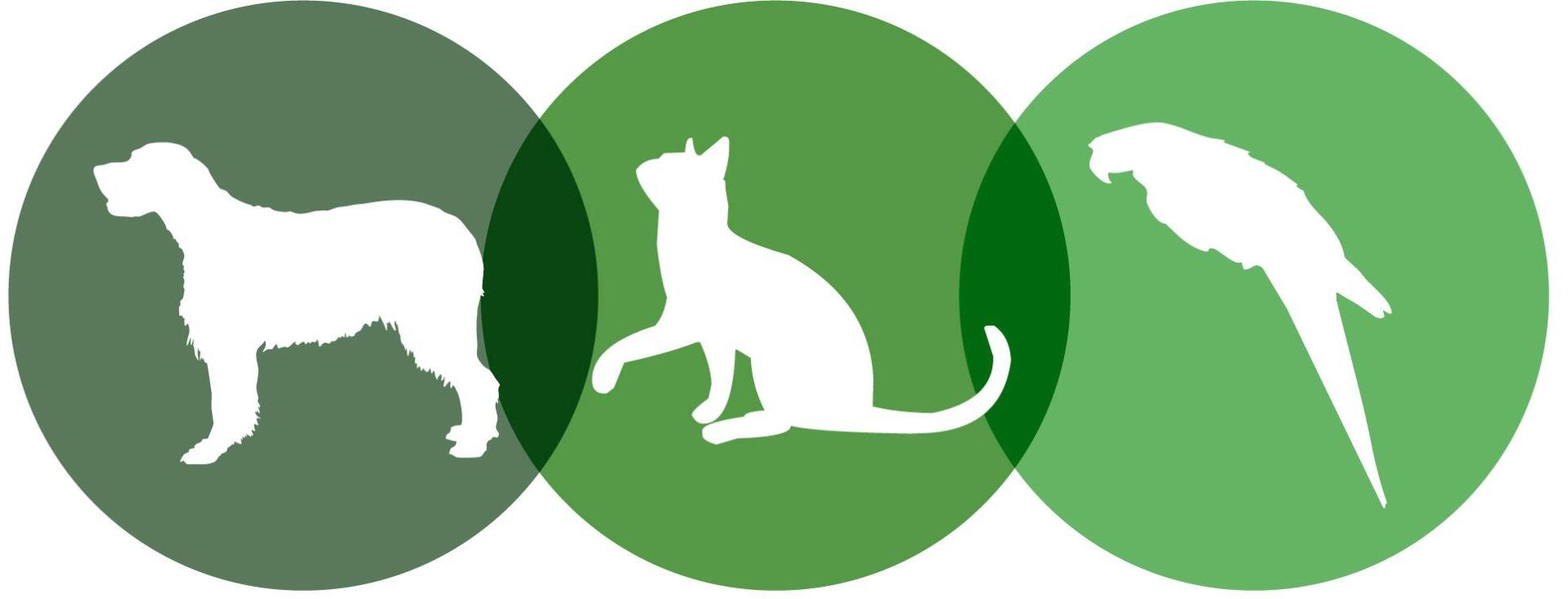 Logo de la empresa VES